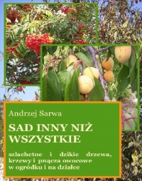 Sad inny niż wszystkie - okłakda ebooka