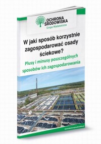 W jaki sposób korzystnie zagospodarować - okłakda ebooka