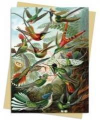 Karnet B6 Kolibry Ernst Haeckel - zdjęcie produktu