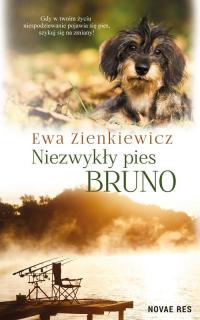 Niezwykły pies Bruno - okłakda ebooka