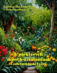 O niektórych innych działaniach - okłakda ebooka