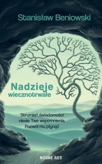 Nadzieje wiecznotrwałe - okłakda ebooka