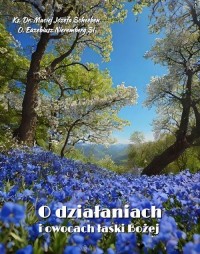 O działaniach i owocach łaski Bożej - okłakda ebooka