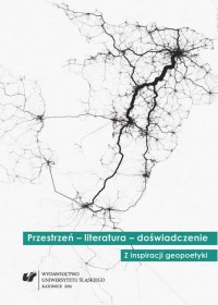 Przestrzeń – literatura – doświadczenie. - okłakda ebooka