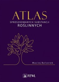 Atlas sproszkowanych substancji - okłakda ebooka