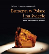 Bursztyn w Polsce i na świecie. - okłakda ebooka