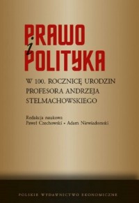 Prawo i polityka. W 100. rocznicę - okładka książki