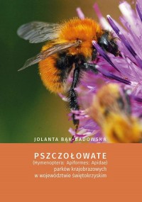 Pszczołowate (Hymenoptera: Apiformes: - okłakda ebooka