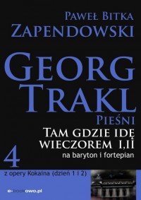 Tam gdzie idę wieczorem - okłakda ebooka