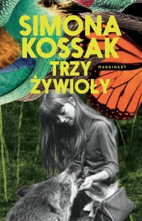 Trzy żywioły - okłakda ebooka