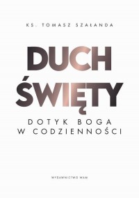 Duch Święty. Dotyk Boga w codzienności - okłakda ebooka