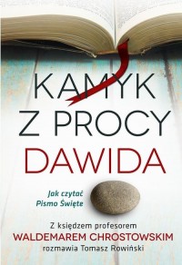 Kamyk z procy Dawida. Jak czytać - okłakda ebooka