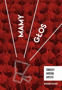 Mamy głos. Świeccy, Kościół, kryzys - okłakda ebooka