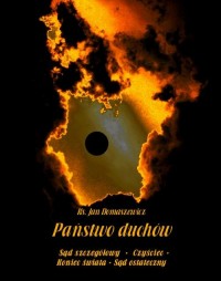 Państwo duchów. Sąd szczegółowy - okłakda ebooka