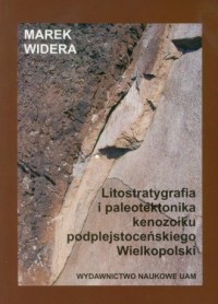 Litostratygrafia i paleotektonika - okładka książki