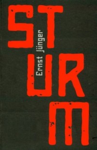 Sturm - okładka książki