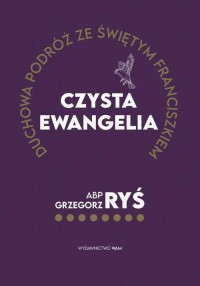 Czysta Ewangelia. Duchowa podróż - okłakda ebooka