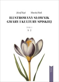 Ilustrowany słownik gwary i kultury - okładka książki