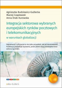 Integracja sektorowa wybranych - okłakda ebooka