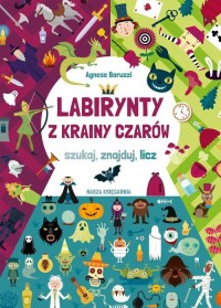 Labirynty z Krainy Czarów - okładka książki