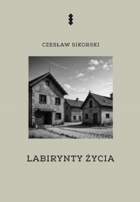 Labirynty życia - okładka książki