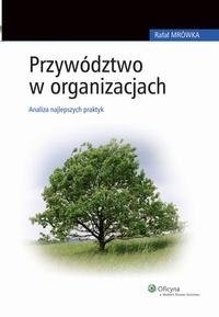 Przywództwo w organizacjach. Analiza - okłakda ebooka