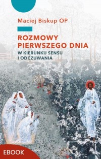 Rozmowy pierwszego dnia. W kierunku - okłakda ebooka