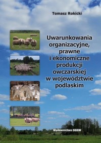 Uwarunkowania organizacyjne, prawne - okłakda ebooka