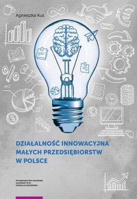 Działalność innowacyjna małych - okłakda ebooka