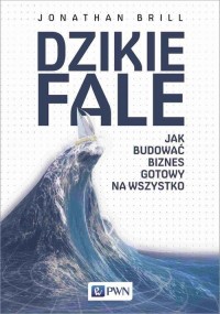 Dzikie fale. Jak budować biznes - okłakda ebooka