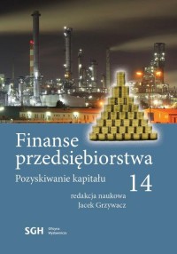 Finanse przedsiębiorstwa 14. Pozyskiwanie - okłakda ebooka