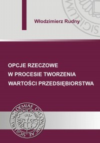 Opcje rzeczowe w procesie tworzenia - okłakda ebooka