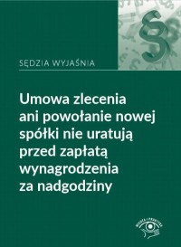 Opis długi Umowa zlecenia ani powołanie - okłakda ebooka