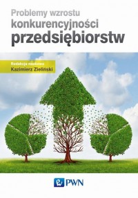 Problemy wzrostu konkurencyjności - okłakda ebooka