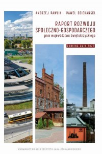 Raport rozwoju społeczno-gospodarczego - okłakda ebooka