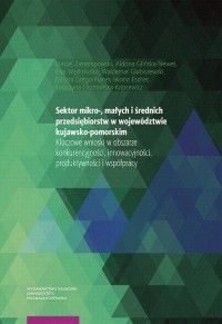 Sektor mikro-, małych i średnich - okłakda ebooka