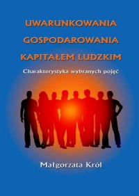 Uwarunkowania gospodarowania kapitałem - okłakda ebooka