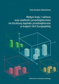 Wpływ kraju i sektora oraz wielkości - okłakda ebooka