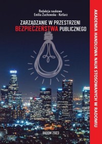 Zarządzanie w przestrzeni bezpieczeństwa - okłakda ebooka