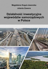 Działalność inwestycyjna województw - okłakda ebooka