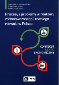 Procesy i problemy w realizacji - okłakda ebooka