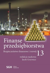 Finanse przedsiębiorstwa 13. Bezpieczeństwo - okłakda ebooka