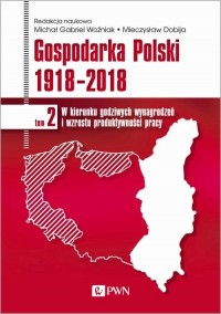 Gospodarka Polski 1918-2018 tom - okłakda ebooka