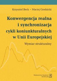 Konwergencja realna i synchronizacja - okłakda ebooka