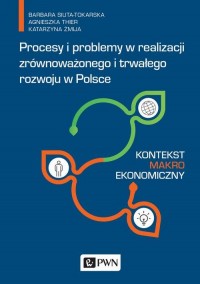 Procesy i problemy w realizacji - okłakda ebooka