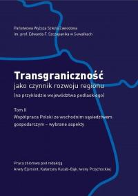 Transgraniczność jako czynnik rozwoju - okłakda ebooka