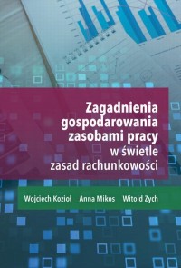 Zagadnienia gospodarowania zasobami - okłakda ebooka