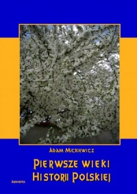 Pierwsze wieki historii polskiej - okłakda ebooka