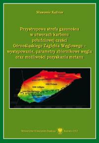 Przystropowa strefa gazonośna w - okłakda ebooka