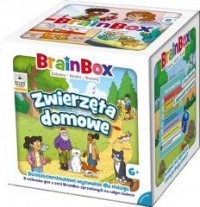 BrainBox - Zwierzęta domowe REBEL - zdjęcie zabawki, gry